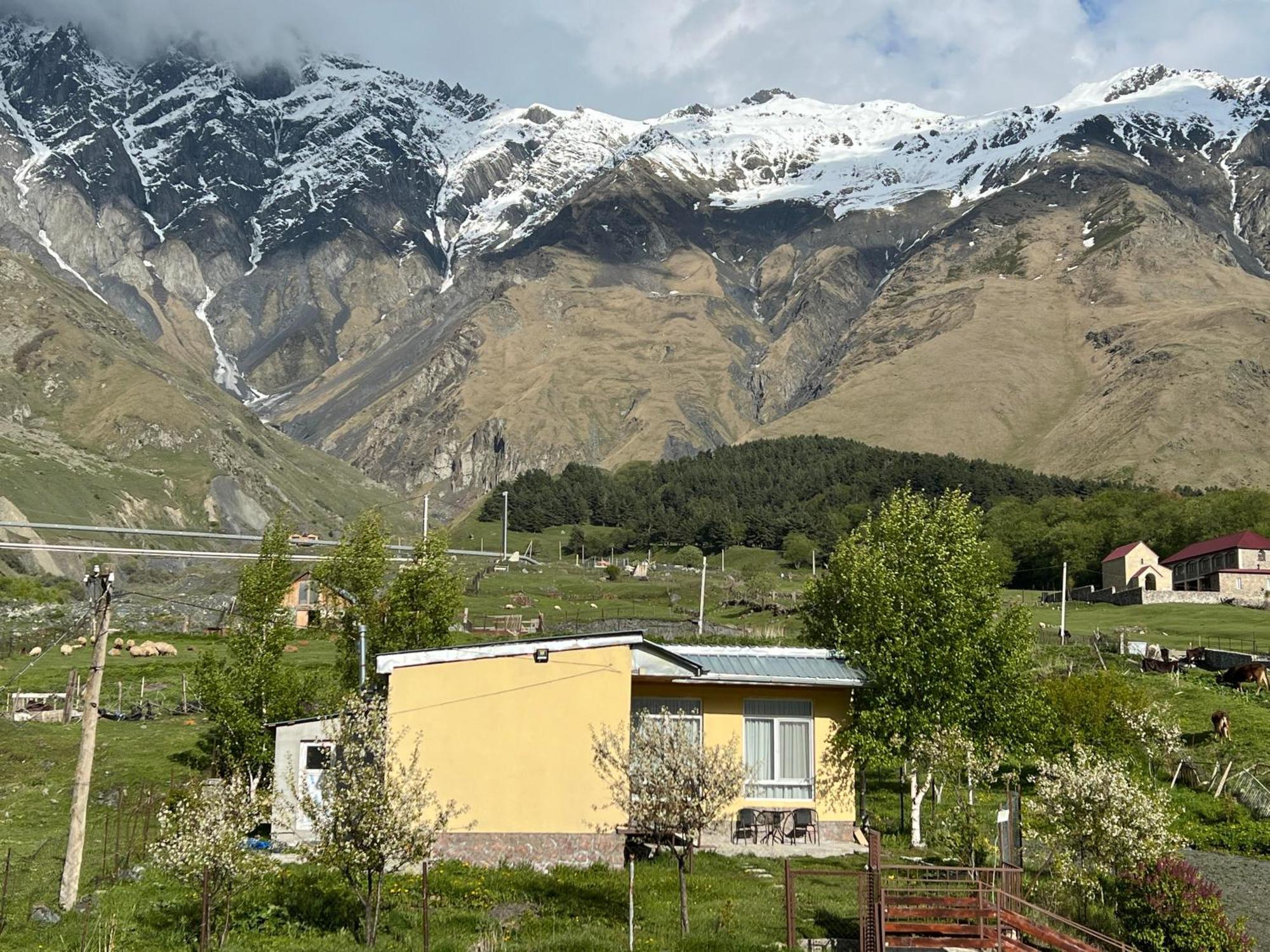 Mountain Kazbegi Apartment Exteriör bild